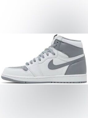 Jordan 1 Retro High OG Stealth (Rare)